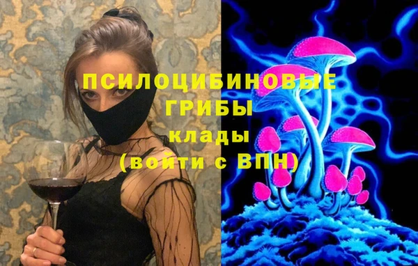 винт Козловка