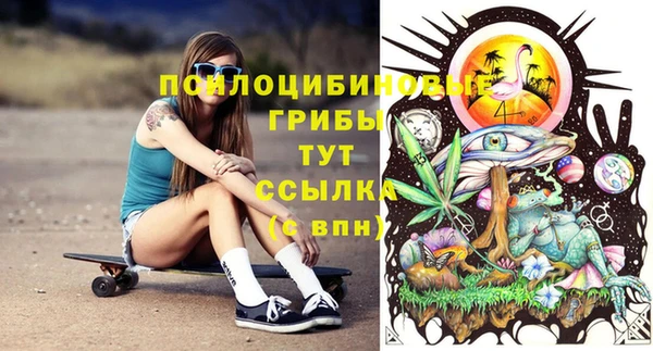 спайс Кодинск